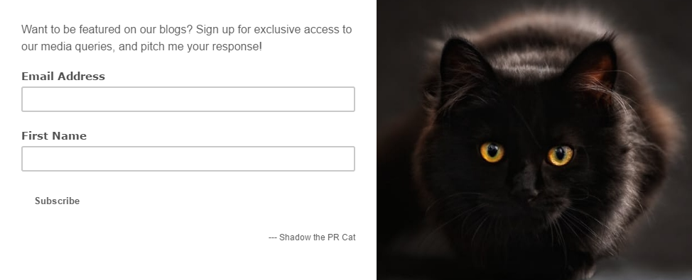 Shadow the PR Cat Subscribe Newsletter