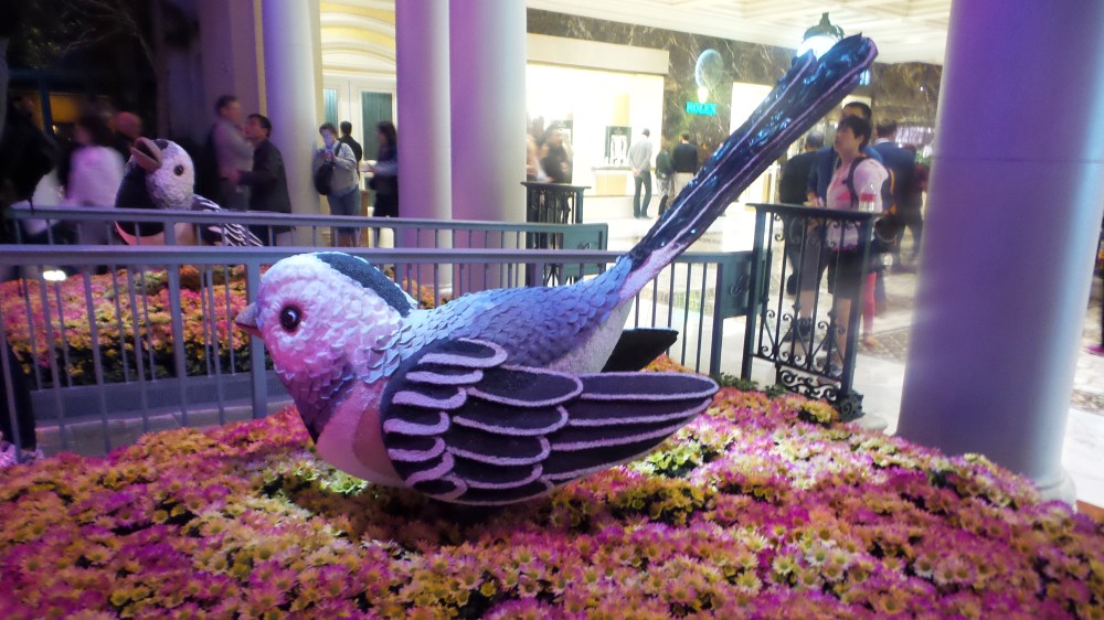 Bird Bellagio Japanese Gardens.jpg
