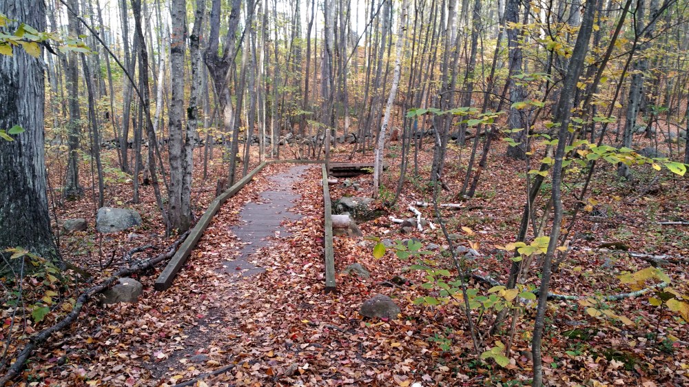 24 Horse Hill Nature Preserve New England Fall Hiking