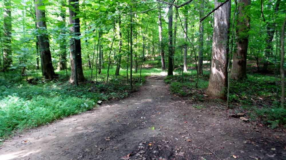 2 Reynolds Nature Preserve Hiking Trails.jpg