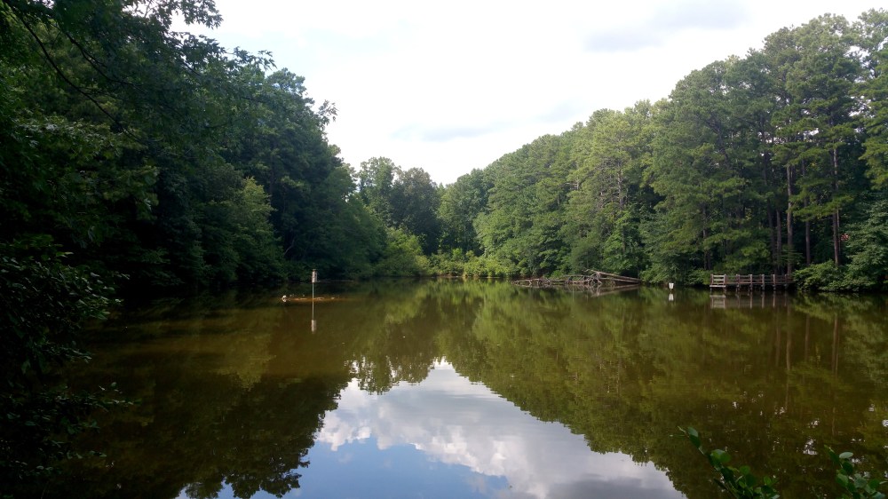 5 Reynolds Nature Preserve Waterscape.jpg