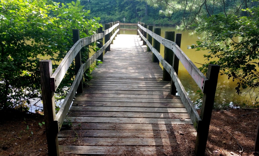 7 Reynolds Nature Preserve Boardwalk.jpg