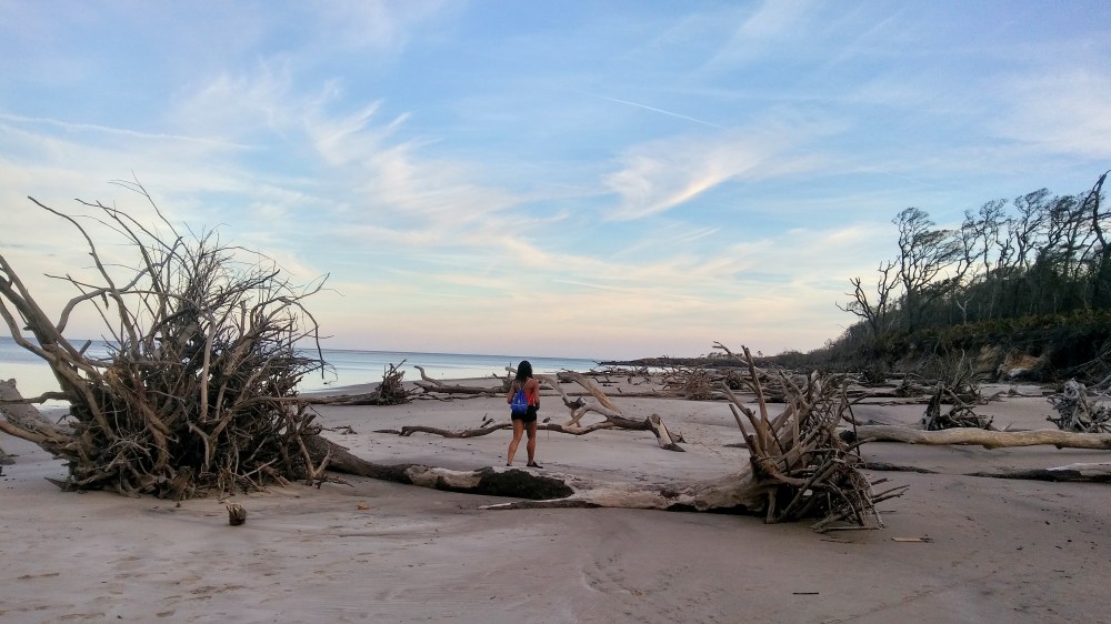 Alexis Chateau Banner 01.jpg